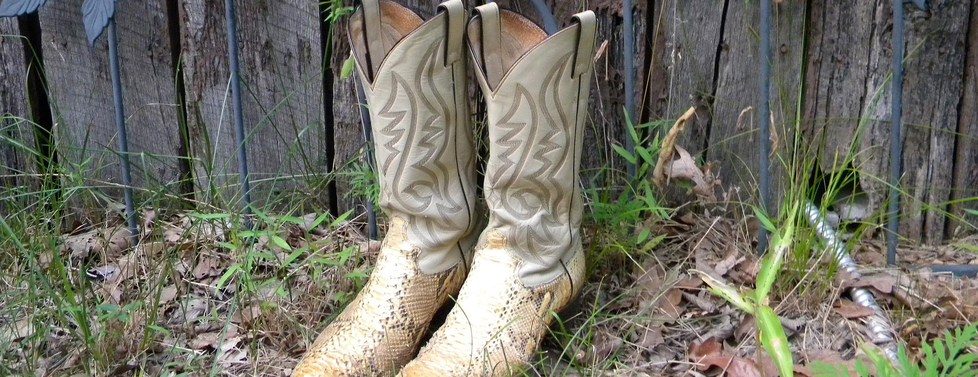 Twisted X -Twisted X cowboy boots 177193 1920